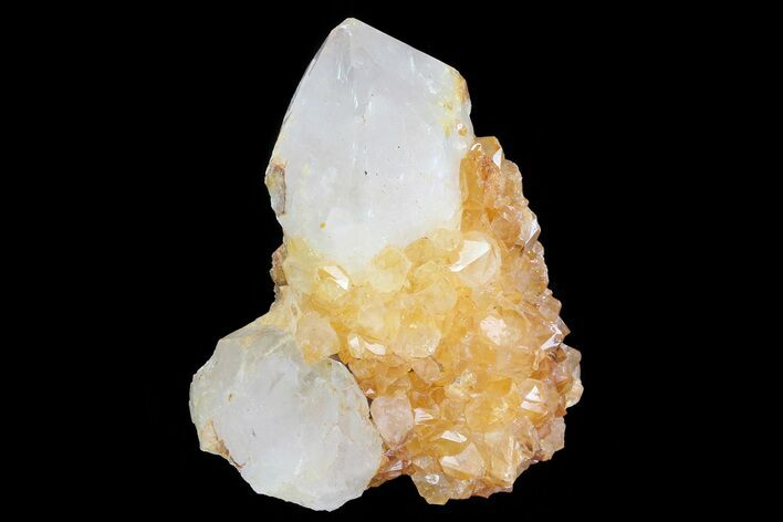 Sunshine Cactus Quartz Crystal Cluster - South Africa #80196